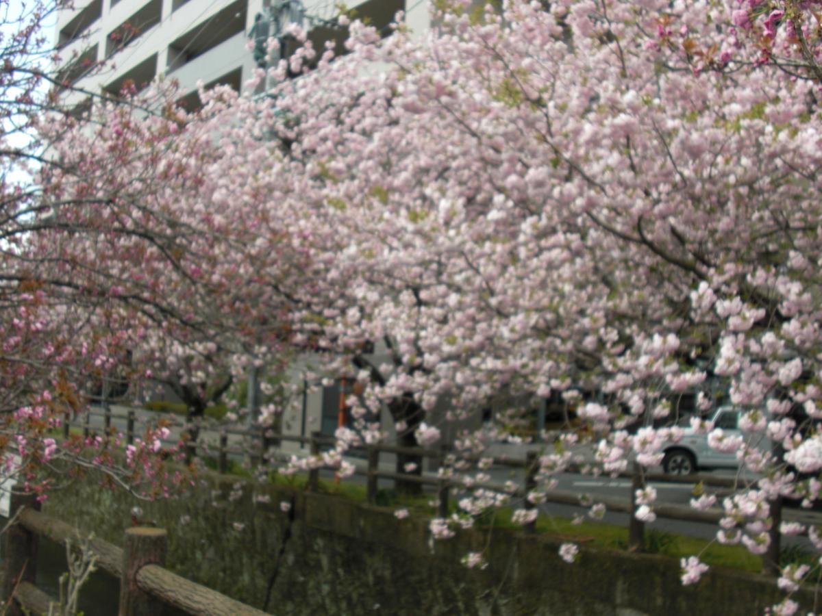 היטה Plaza Hotel Fujinoi מראה חיצוני תמונה